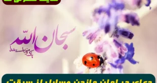 دعای در امان ماندن وسال و اموال از سرقت و شفا و عافیت از دردها و بلاها تضمینی