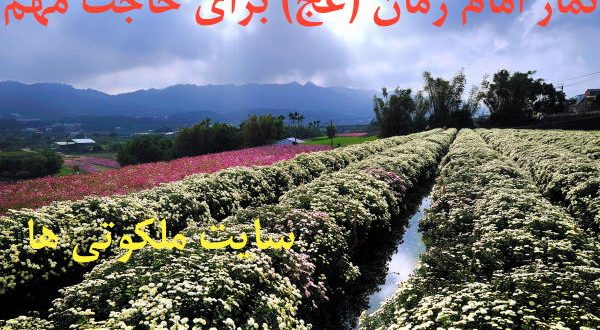 نماز امام زمان در شب جمعه برای حاجت و طلب خواسته مهم